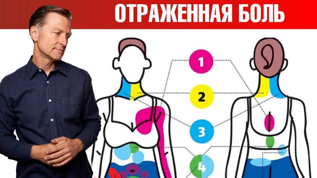 Отраженная боль 👉 что болит на самом деле?