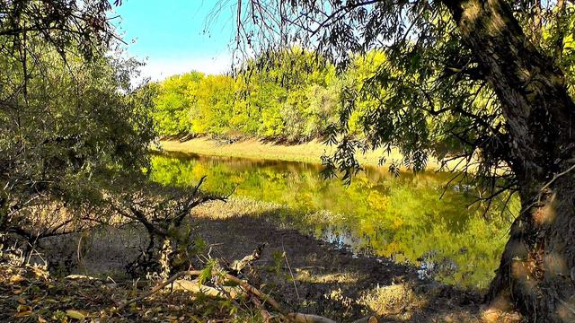 Звуки природы.Бабье лето на реке.Мелодия осени.