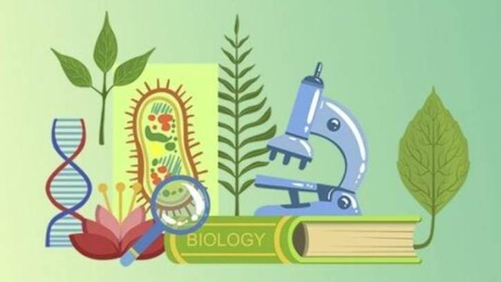 Биология 8 класс. Пластический и энергетический обмен. --