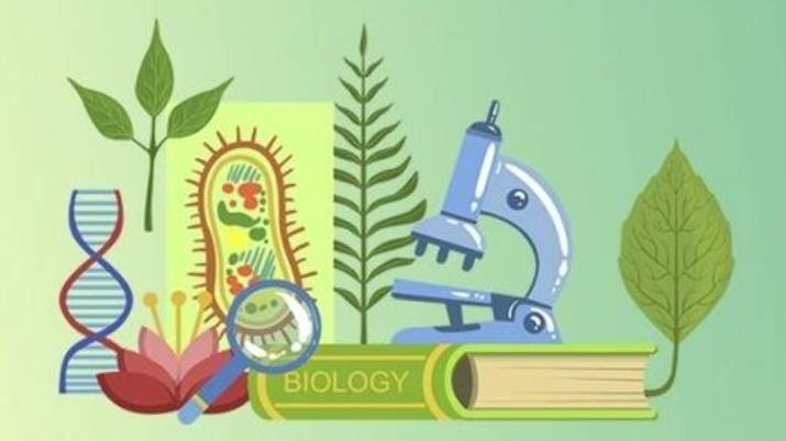 Биология 8 класса. Пищеварение в желудке и кишечнике. --