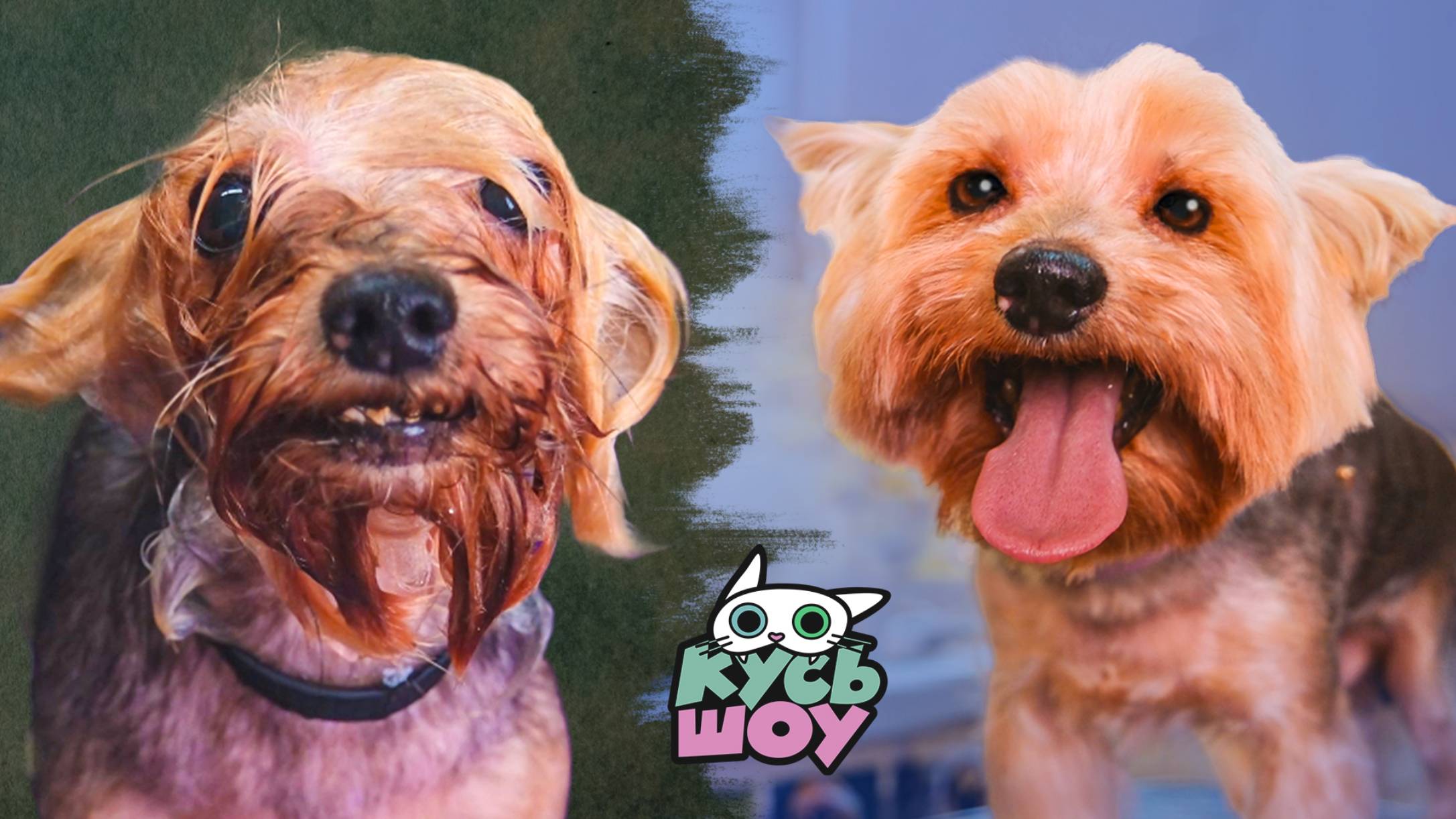 НОВЫЙ ОБЛИК ТОРА - Кусь-шоу – Бьюти рубрика