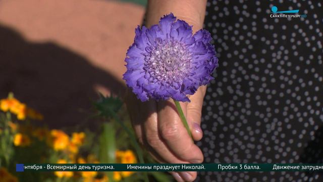 Урожай редких растений в Садоводстве Боде