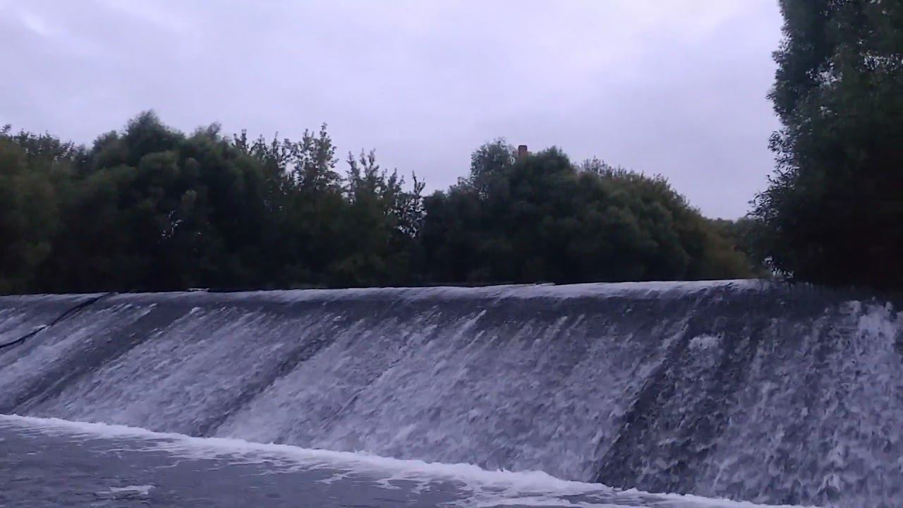 Бесстрашная водяная крыса атакует!