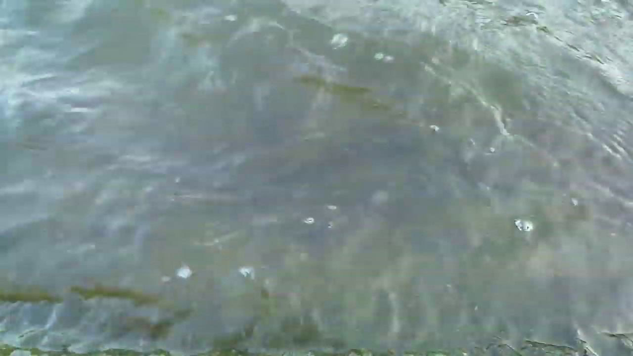 Привет, мальцы-окушки!