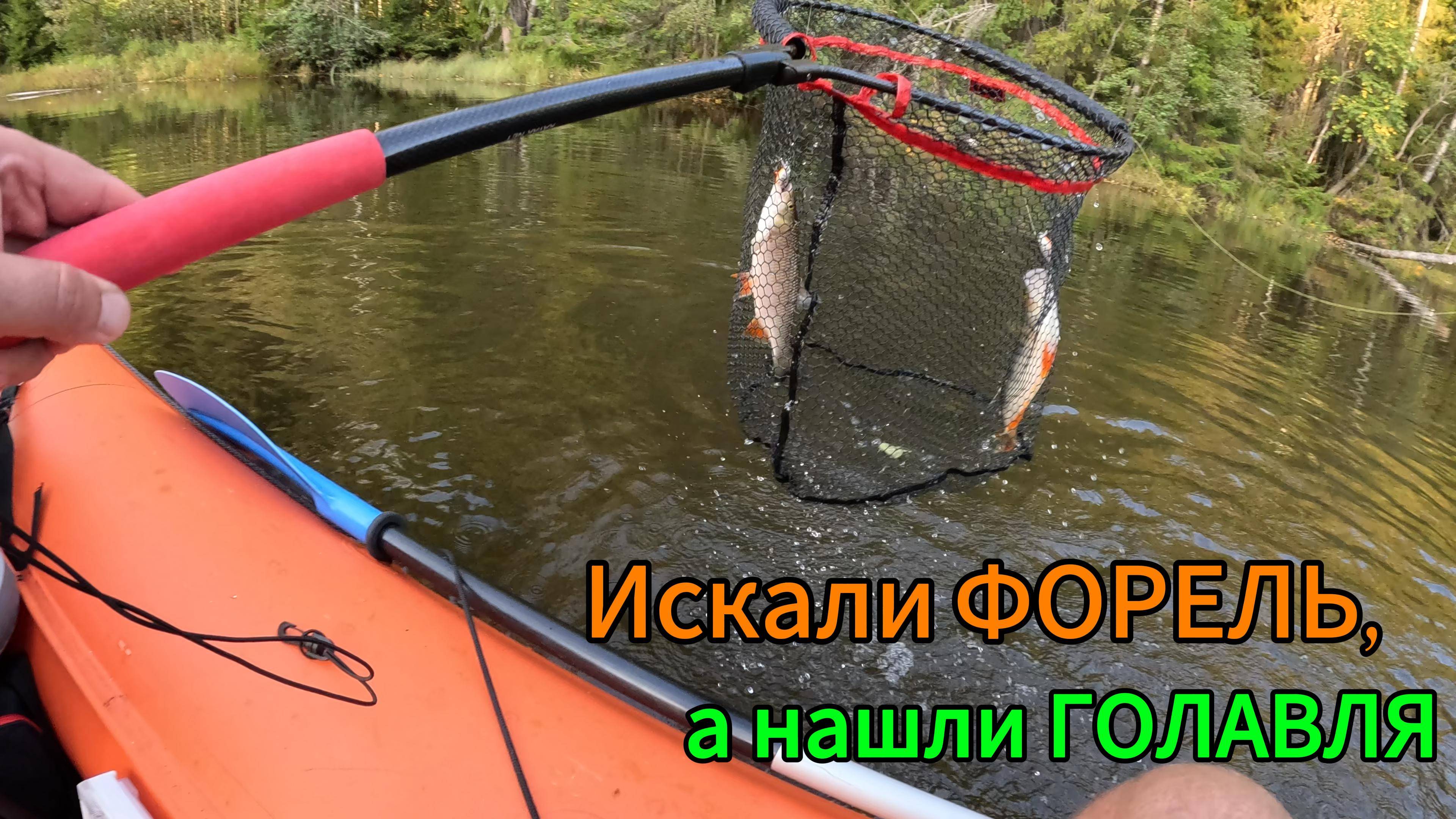 Искали ФОРЕЛЬ, а нашли ГОЛАВЛЯ! Рыбалка на малой реке на кренки