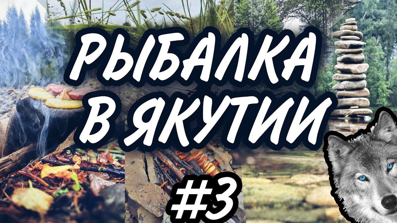 Рыбалка в Якутии часть третья , готовлю на камне , лесная кухня , жарю картошку на палке