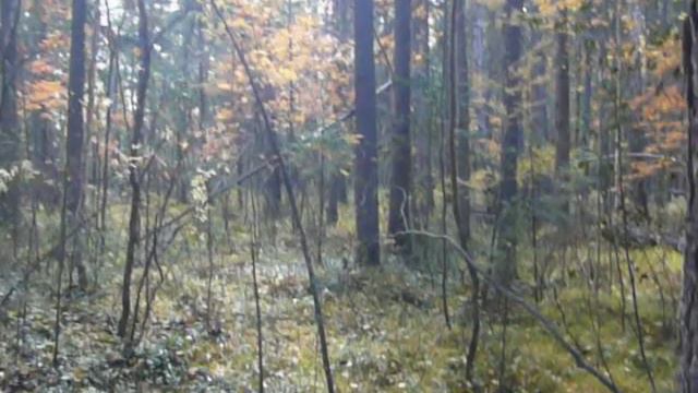 Ориентирование. Таежная река в Восточной Сибири 3