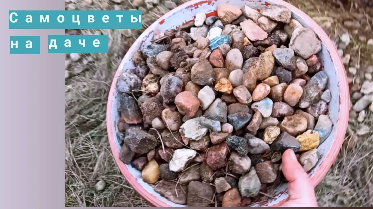 Собираем коллекцию самоцветов с дачных грядок Весна 2024