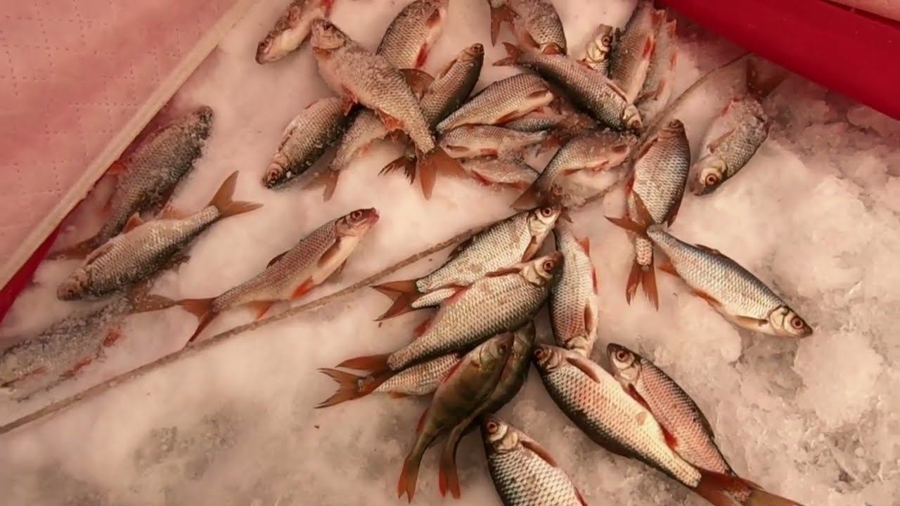 Иркутское ВДХР. Рыбалка зимой. Залив ИСХИ и карьер.