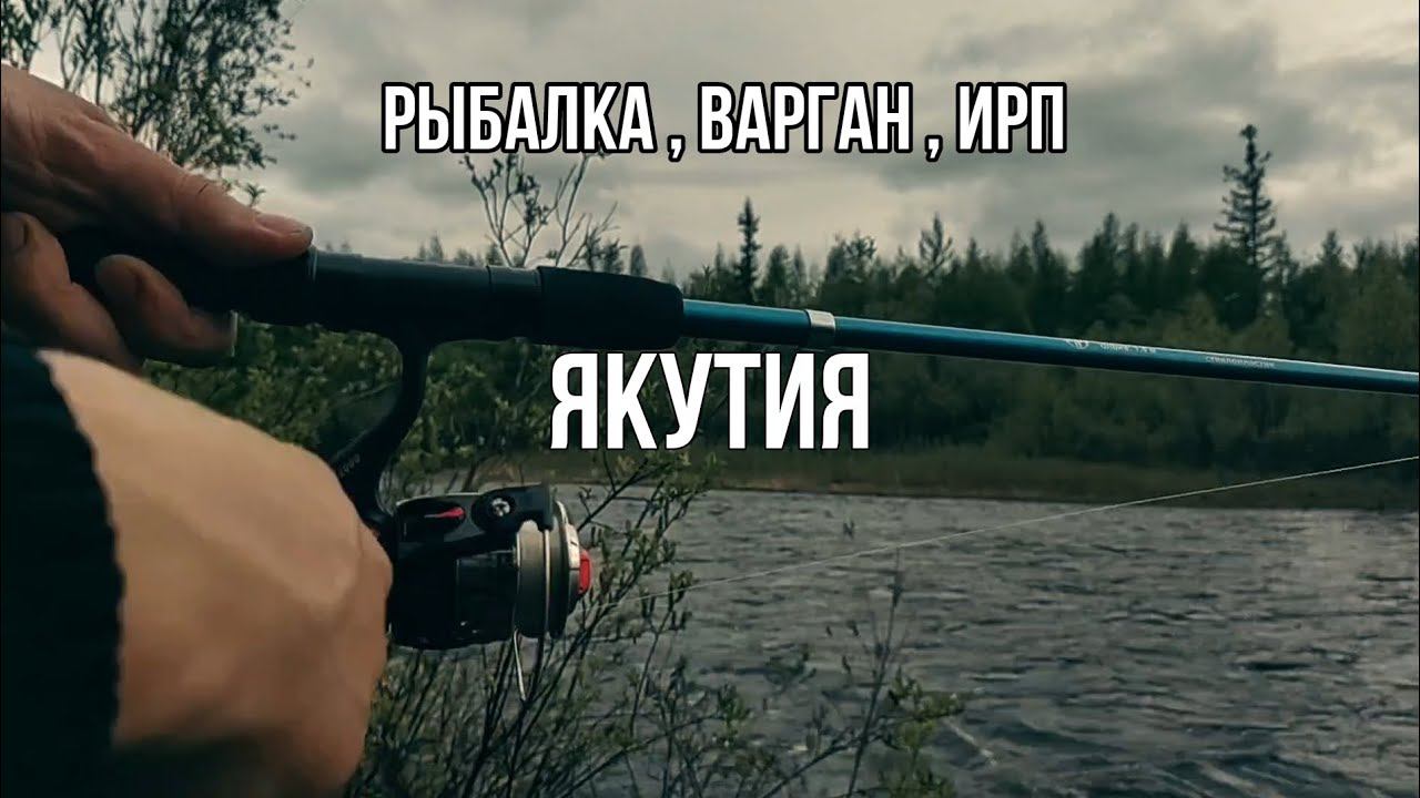 Хожу по рекам в Якутии , первый раз играю на варгане , пробую готовое блюдо (последнее)