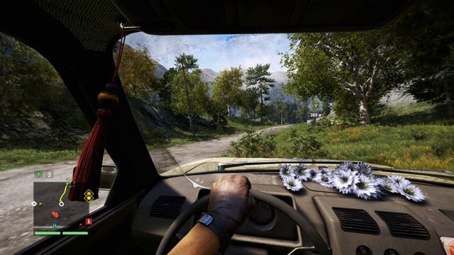 Far Cry 4   9