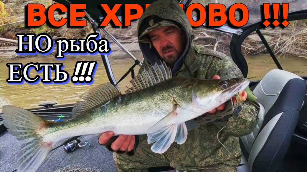 ВСЕ ХРЕНОВО , НО РЫБА ЕСТЬ !!! Рыбалка на Оби 26 сентября 2024г.