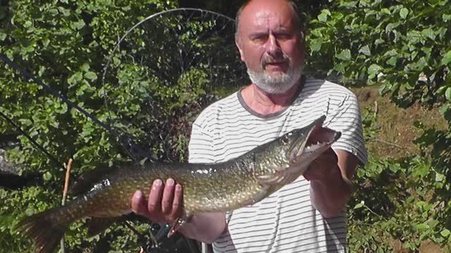 Савозеро 2023 г./ Недельный отдых на озере с рыбалкой / Часть 2я.