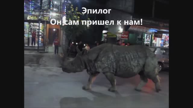 2 Читван - нац.парк Непала