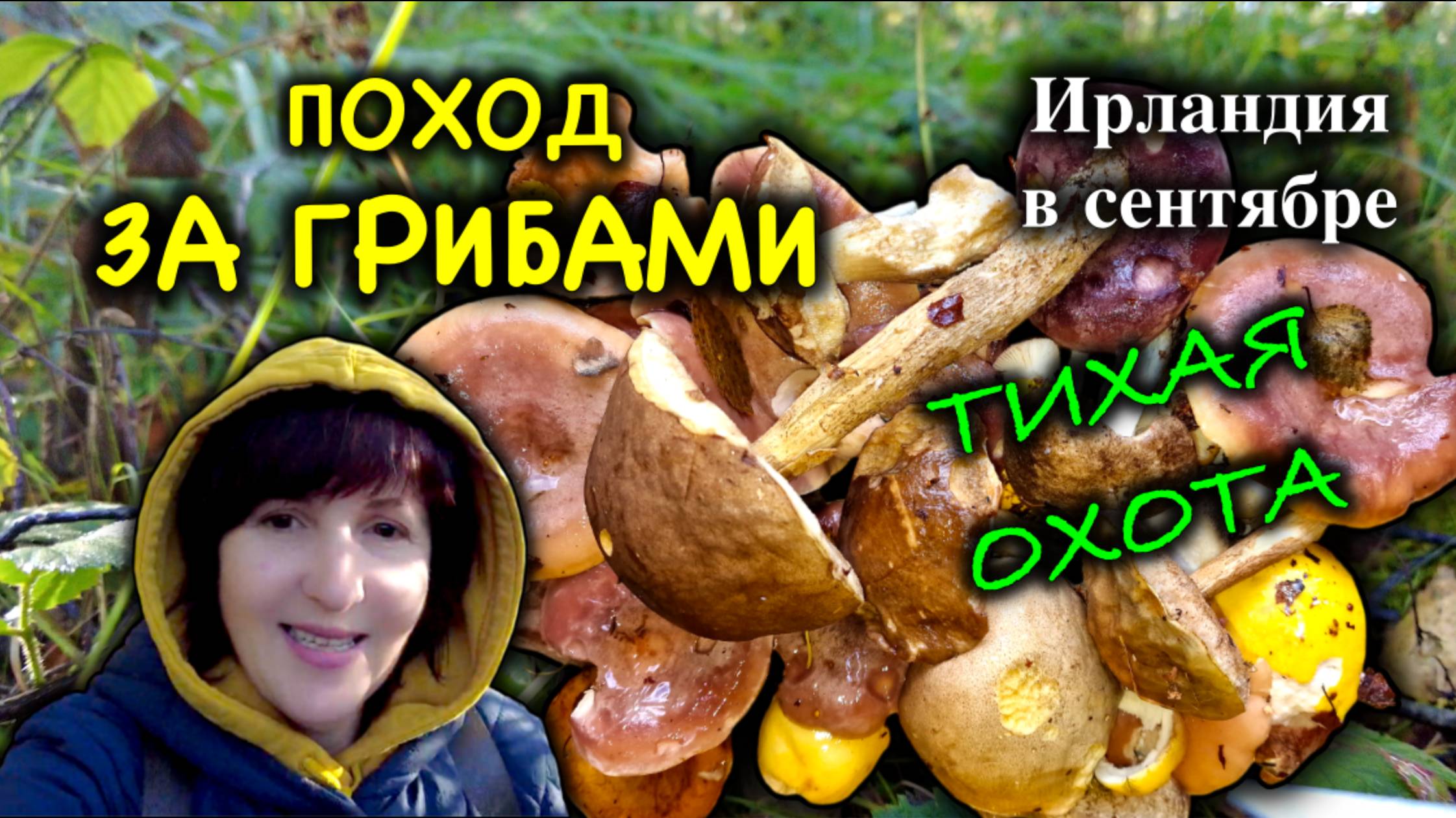 Ирландия🇮🇪Поход за Грибами/Какие Грибы растут в Сентябре/Грибная поляна/Тихая Охота