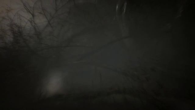 Blair Witch 2019 Ведьма из Блэр - прохождение игры [08] - ПК PC русские субтитры