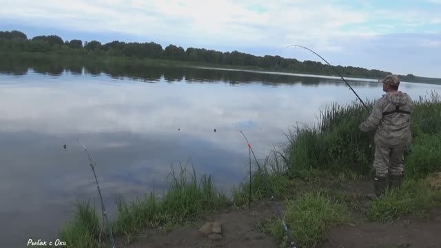 Макаешь и ПОКЛЁВКА ЛЕЩА на САЛО и СИЛИКОН! Рыбалка на Донки на Оке!