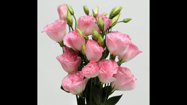 Первое.свидание