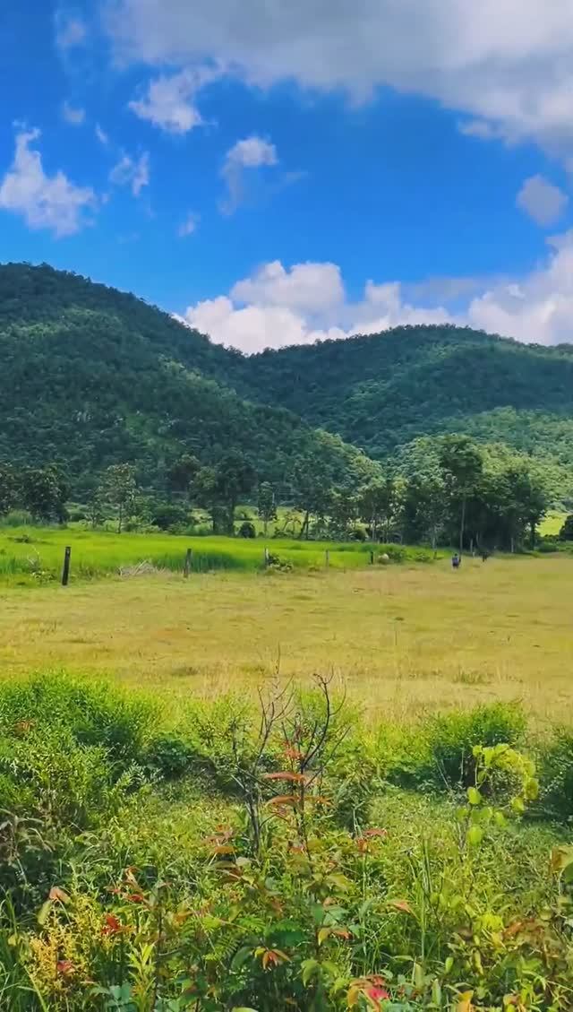 Частичка природы Камбоджи