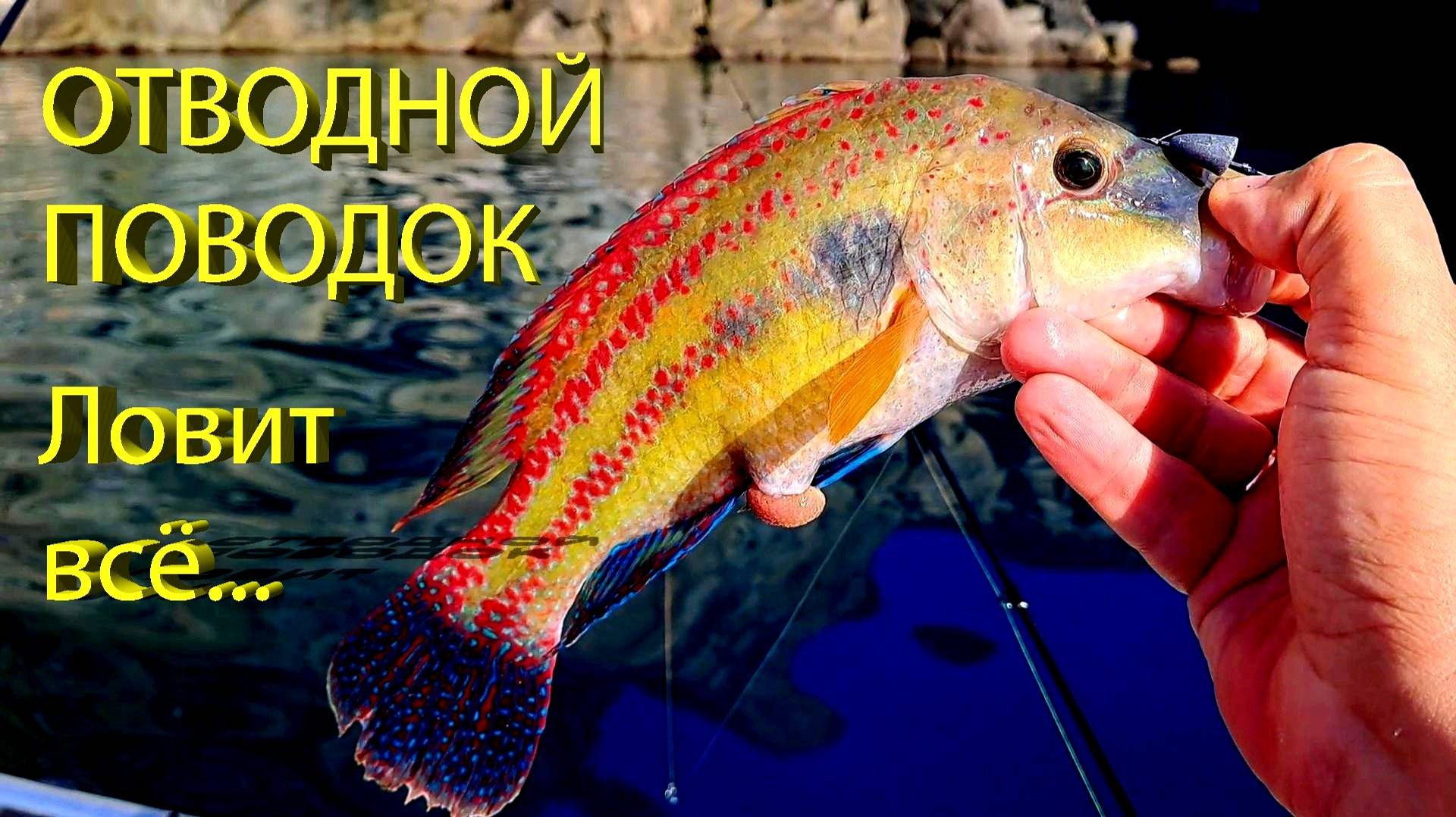 🔥 От ГОРБЫЛЯ до ЛАСКИРЯ. Отводной поводок собрал всю рыбу в море. Рокфишинг на Черном море, Крым 🔥