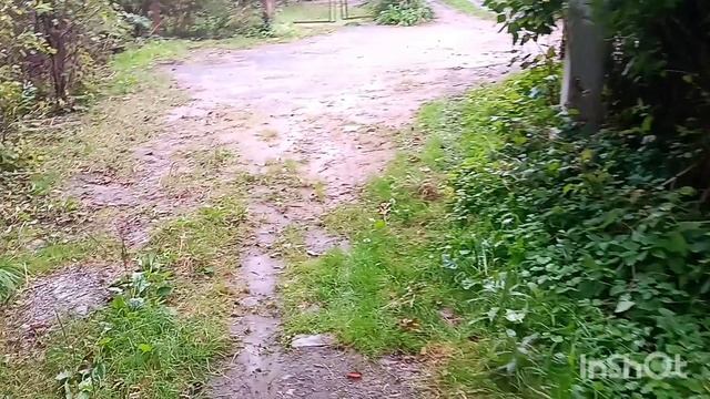 VLOG  // будни☎⏱️🧺//варенье из тыквы🎃 🍊☕🫖//рецепт красоты🎎