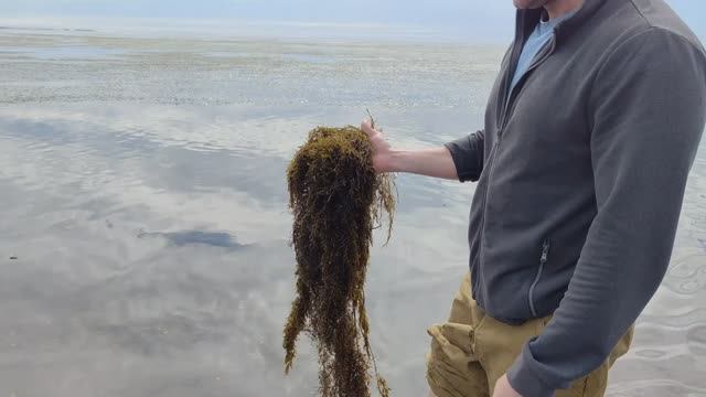 Поехали на Клоковский водопад. Заехали во Взморье. Устроили пикник с крабами на Бухте Тихой
