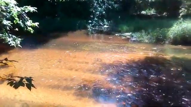 Иду на свет солнца. В тихий уединённый уголок природы...