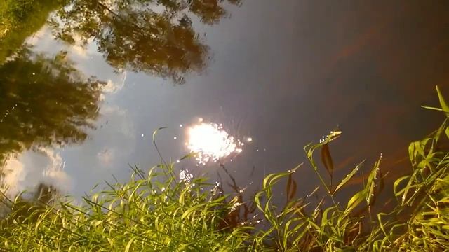 Солнце в реке 2☀️