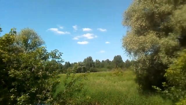 Голоса птиц, звуки цикад... ️☁️