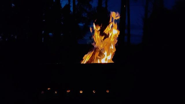 Спящая красавицСказка о мёртвой царевне и о семи богатырях - Пушкина 4к живая природа у костра озера