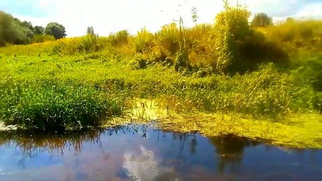 Мир! Прекрасный Мир Божий! И крылья Ангела раскрылись над Землёй! ☁️️