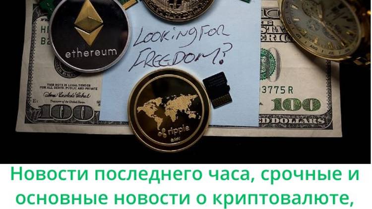 ВТС явно, не тихая гавань/Биткоин-спасательный круг/Трейдер неожиданно стал миллионером.