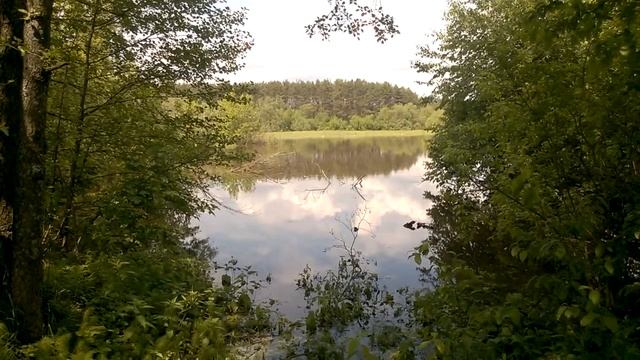 В гармонии с природой!