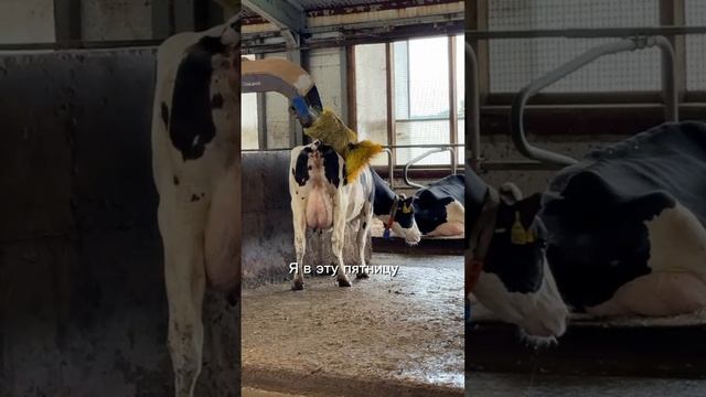 С пятницей!