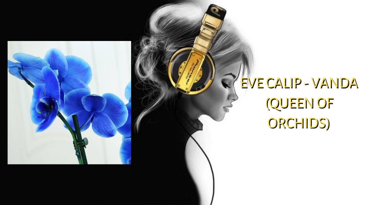 Eve Calip - Vanda (queen of orchids)