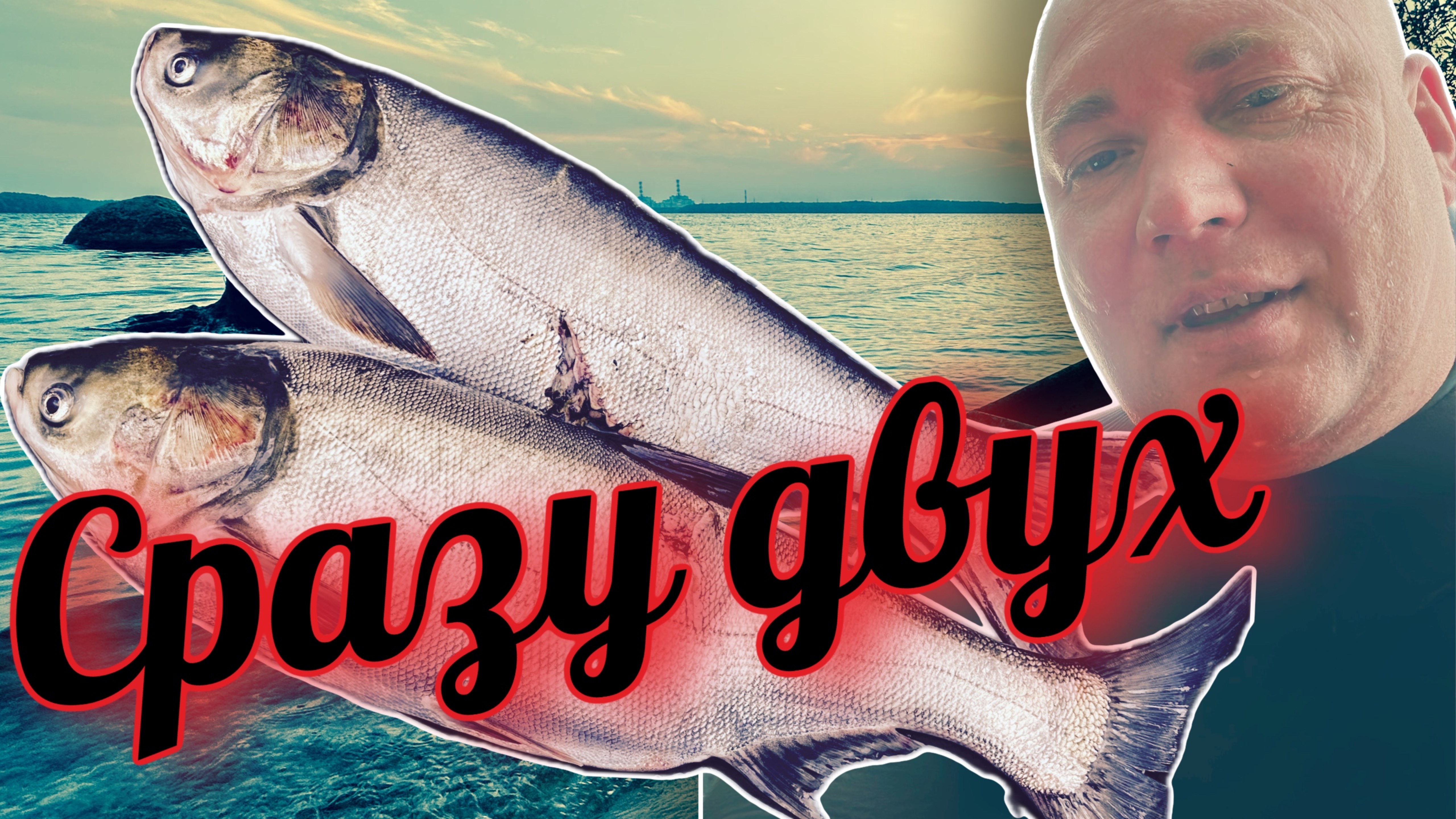 Вот это... Подводная охота