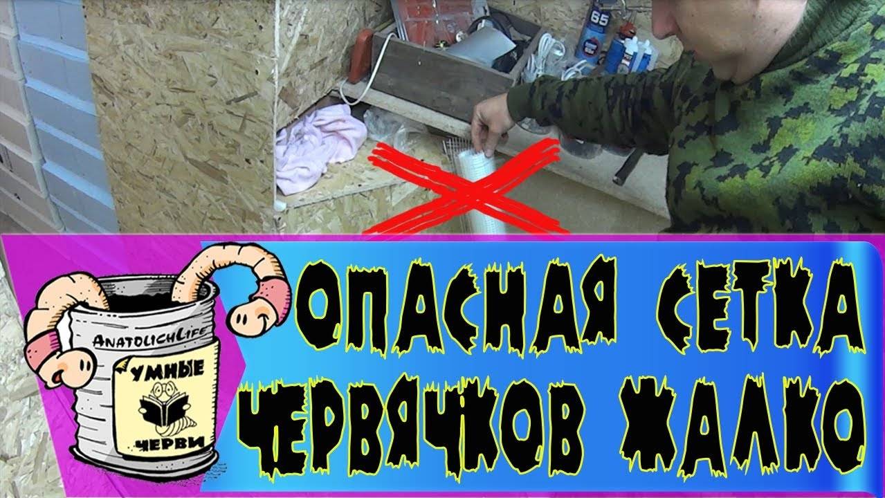Бизнес идея! Разведение червей! ВНИМАНИЕ - опасная сетка!