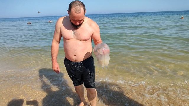 Смельчак на море!