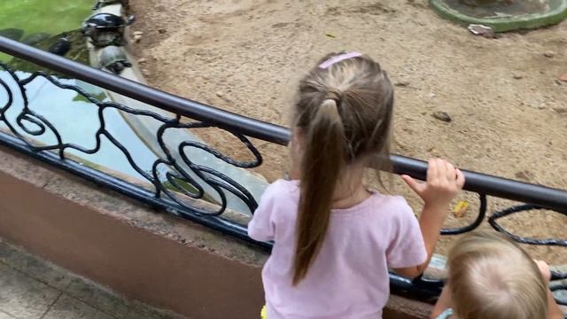 Dehiwala Zoo | Sri Lanka | Colombo | Едем в Зоопарк Коломбо | Шри-ланка  #8