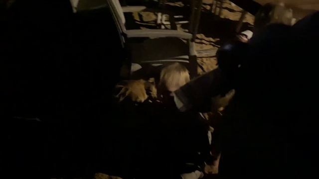 Прилетели В Шри Ланку с тремя маленькими детьми #1