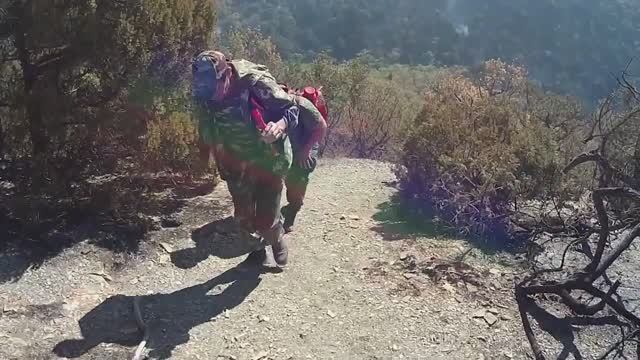 КАК СПАСАЛИ УТРИШ 🌞 Пожар в заповеднике Большой Утриш (2 ЧАСТЬ)