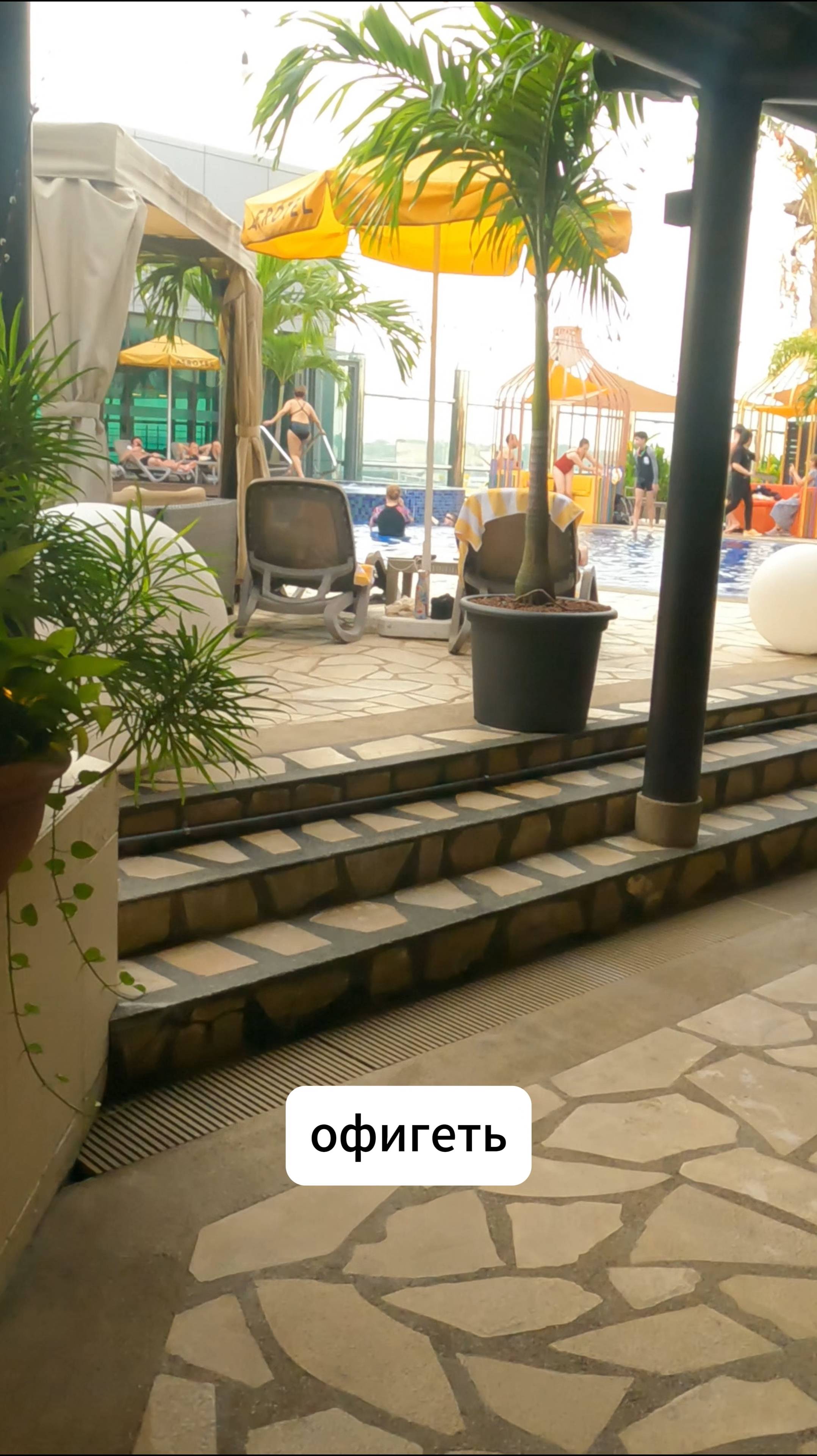 Бассейн Прямо в Аэропорту! Такое возможно только в Сингапуре. Удивительный Аэропорт Чанги #аэропорт