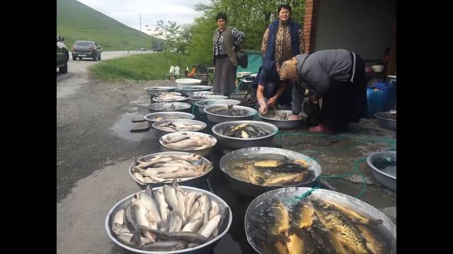 В Осетию на Машине