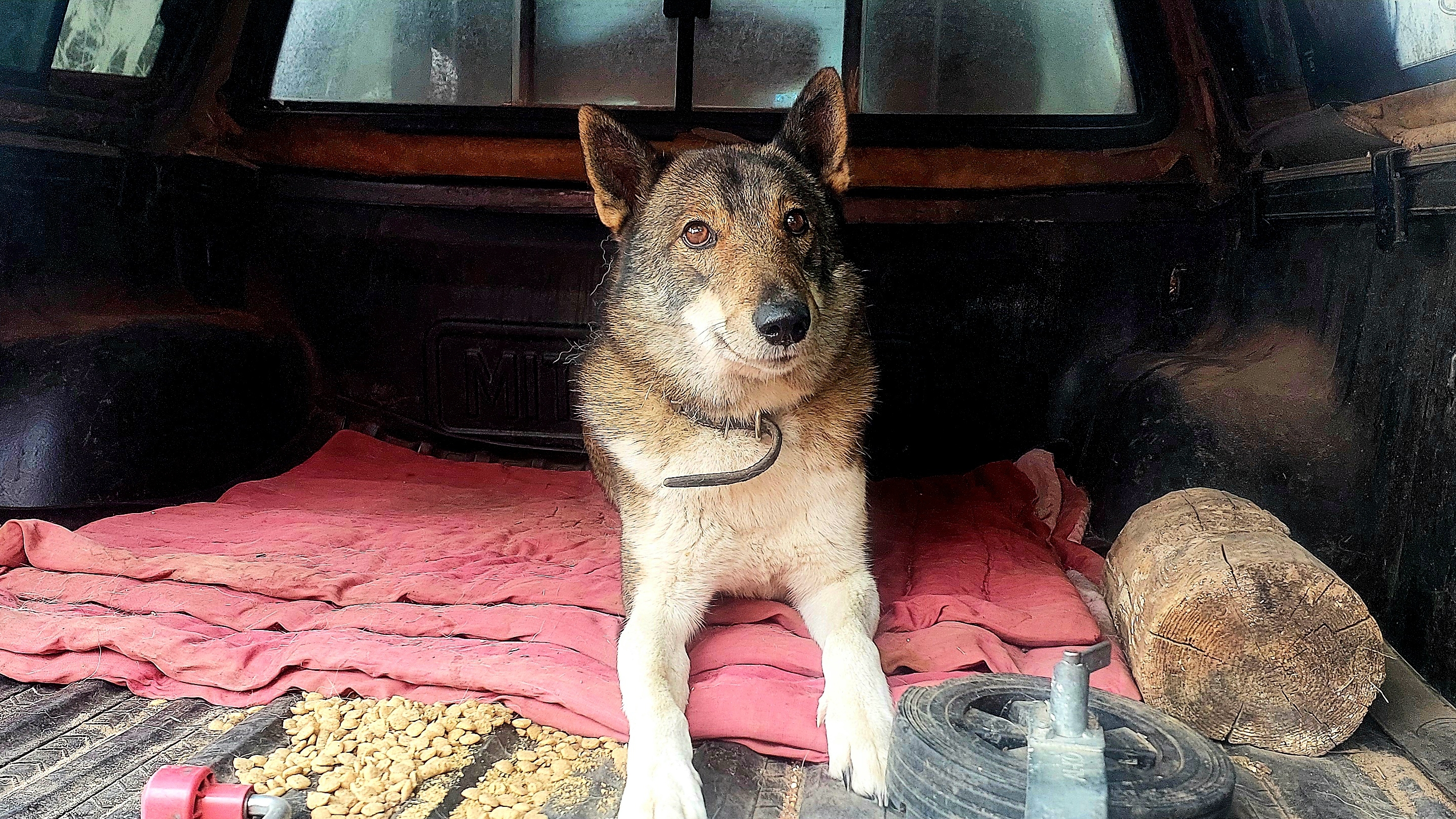 Дорога в Астрахань