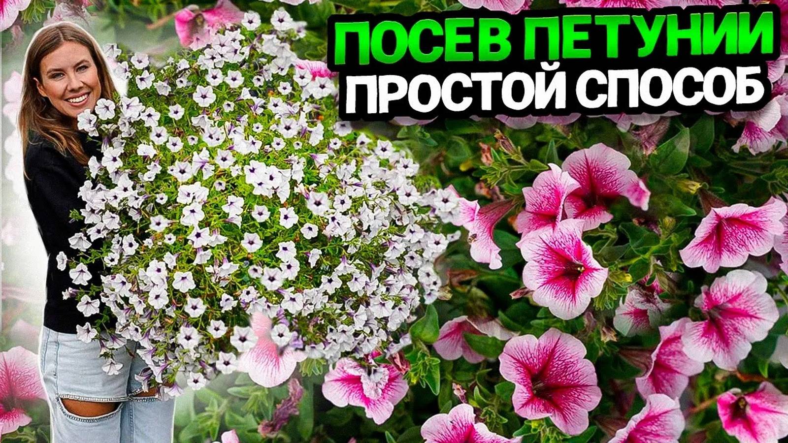 ПОСЕВ СЕМЯН ПЕТУНИИ НА РАССАДУ - 100% ВСХОЖЕСТЬ