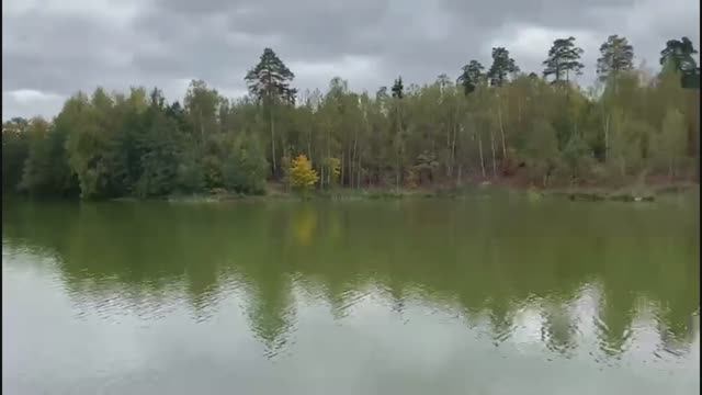 Усадьба Гребнево - Щёлково