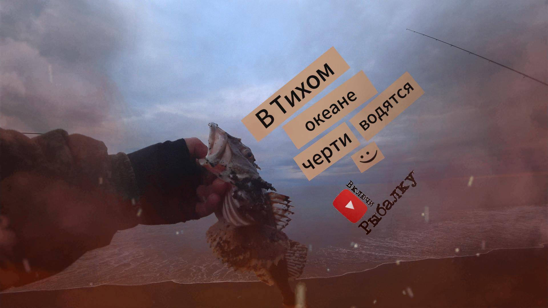 В Тихом (омуте) океане, черти водятся🤫😉😁