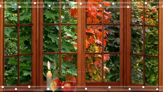 Блюз опадающих листьев..... Песня на стихи Tatiana Brodska