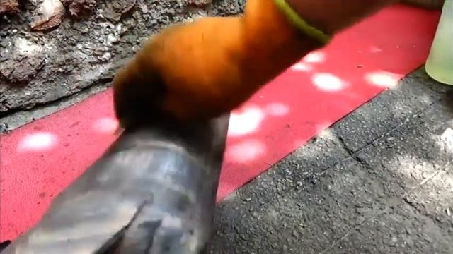 #Глушитель.Отжигаем.Красим термостойкой.Декор