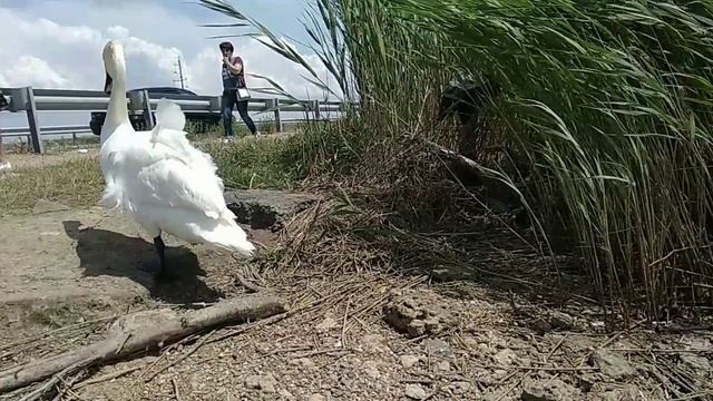 Красотуля❤️